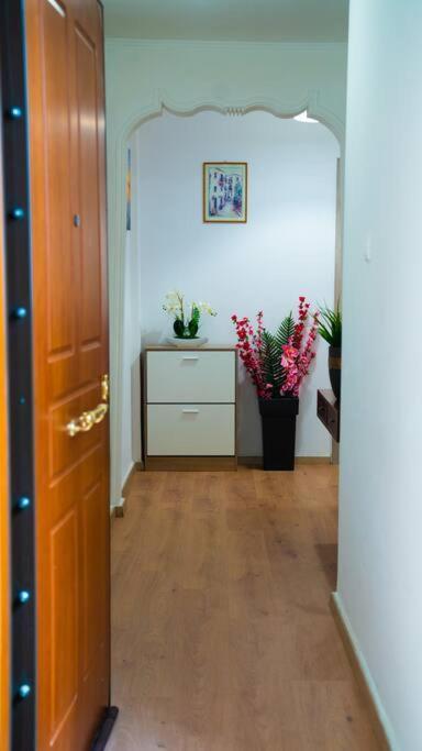 Apartment Cozy In Center Athen